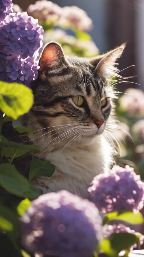 Seekor kucing liar bersarang dengan nyaman di tengah sekumpulan bunga hydrangea ungu, berjemur di bawah sinar matahari tengah hari.