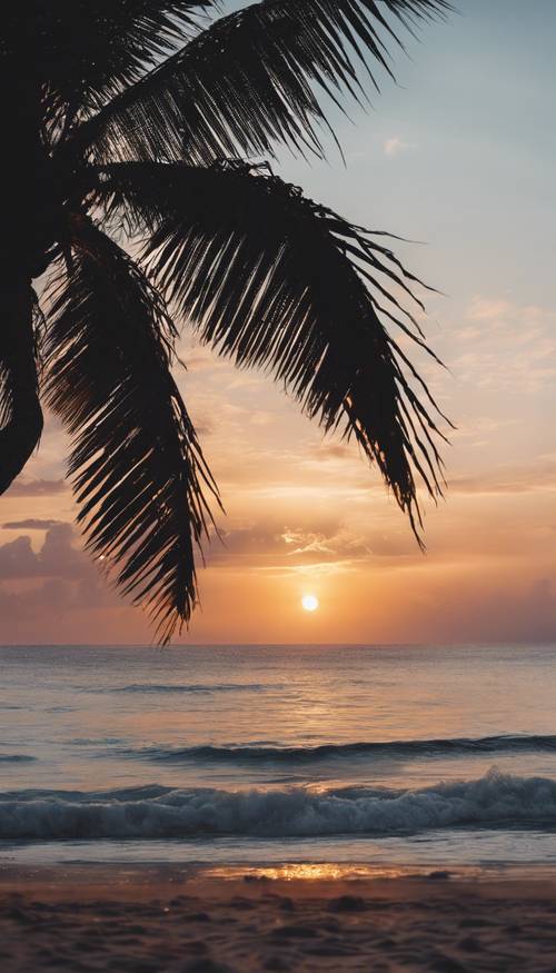Um pôr do sol de uma ilha tropical com a silhueta de uma palmeira.