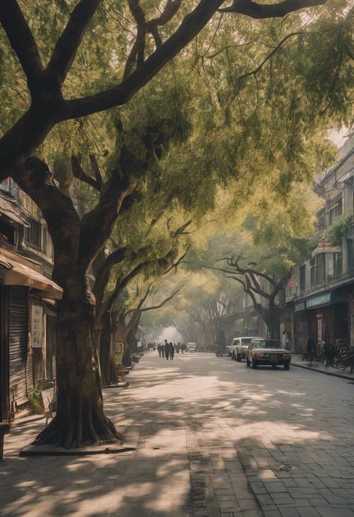 Old French Concession streets in Shanghai filled with plane trees