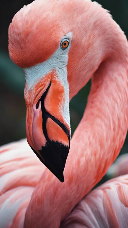 Kafasını kanadının altına sıkıştırmış, huzur içinde uyuyan pembe bir flamingo portresi.