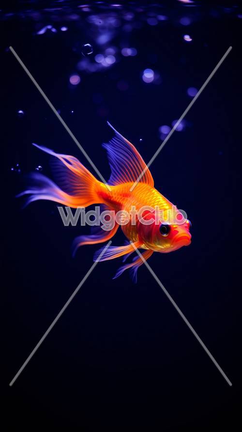 깊고 푸른 물에서 수영하는 밝은 주황색 물고기
