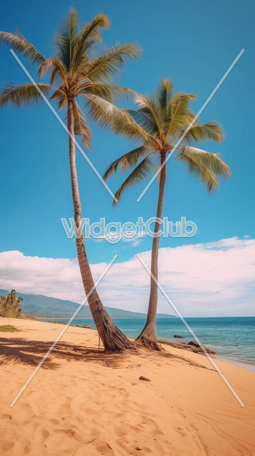 Paradiso tropicale della spiaggia con le palme