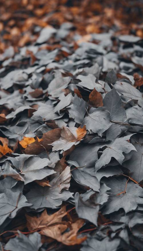 秋が来た！灰色の葉っぱが積み重なった風景壁紙