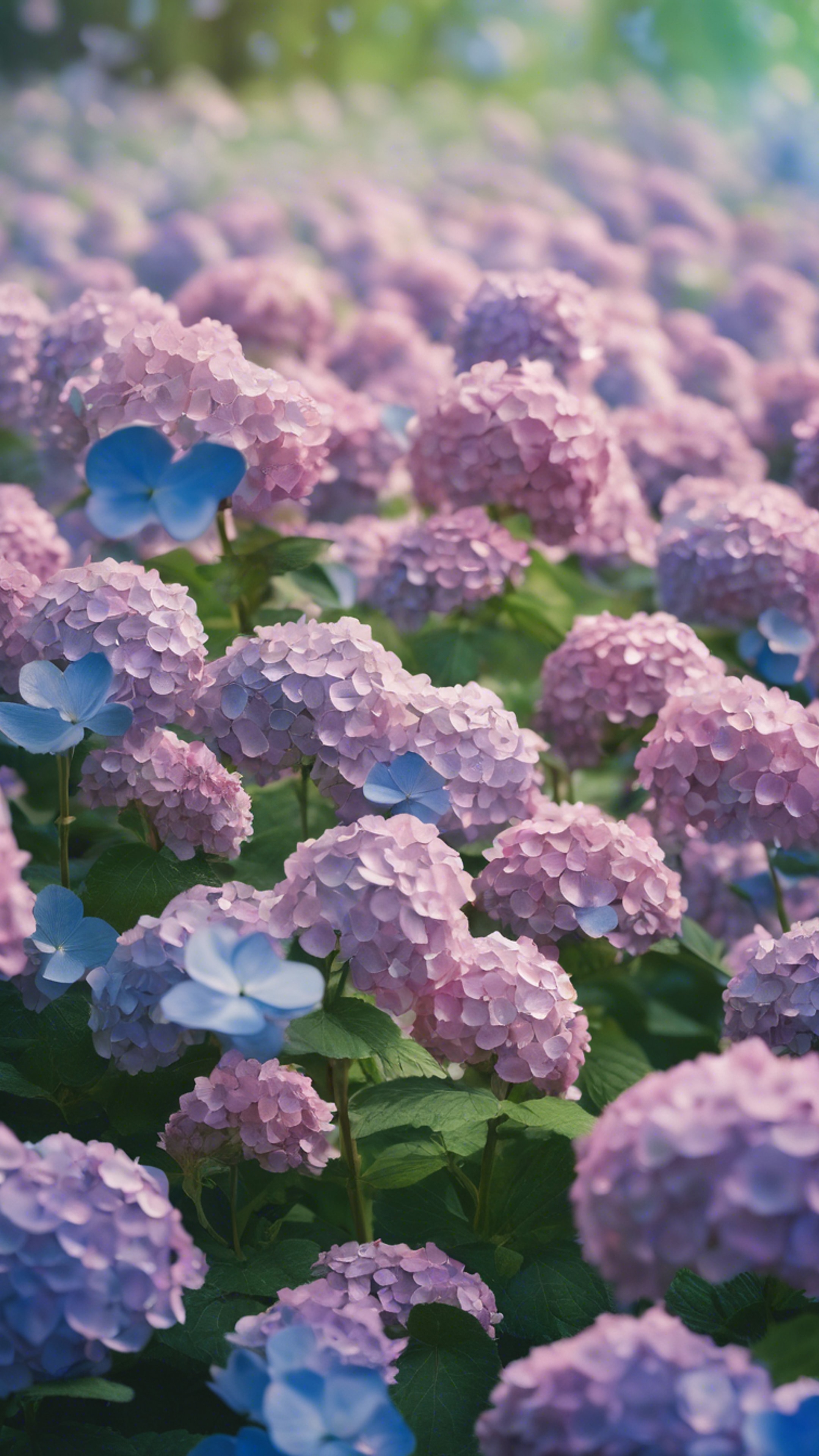 A surreal sky filled with hydrangea clouds raining flower petals onto a green meadow.壁紙[88389e07099e41ce8bb4]