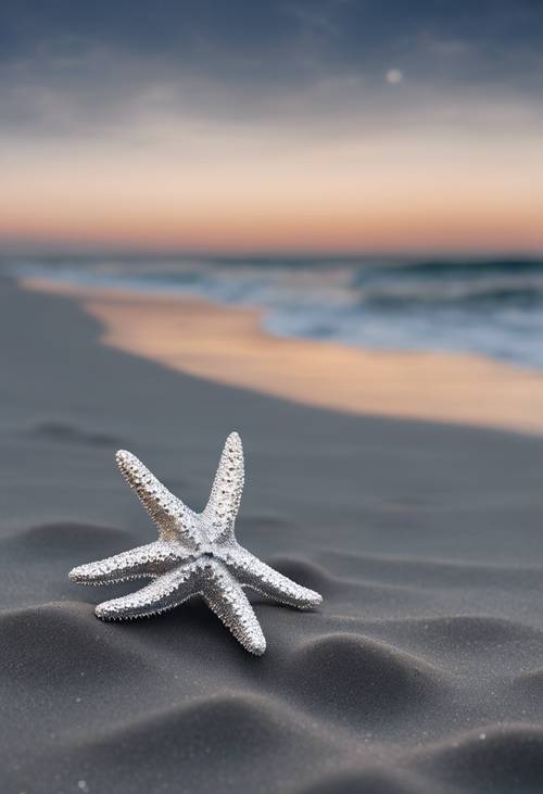 A moonlit seascape with a silver starfish lying on a gray sand beach.