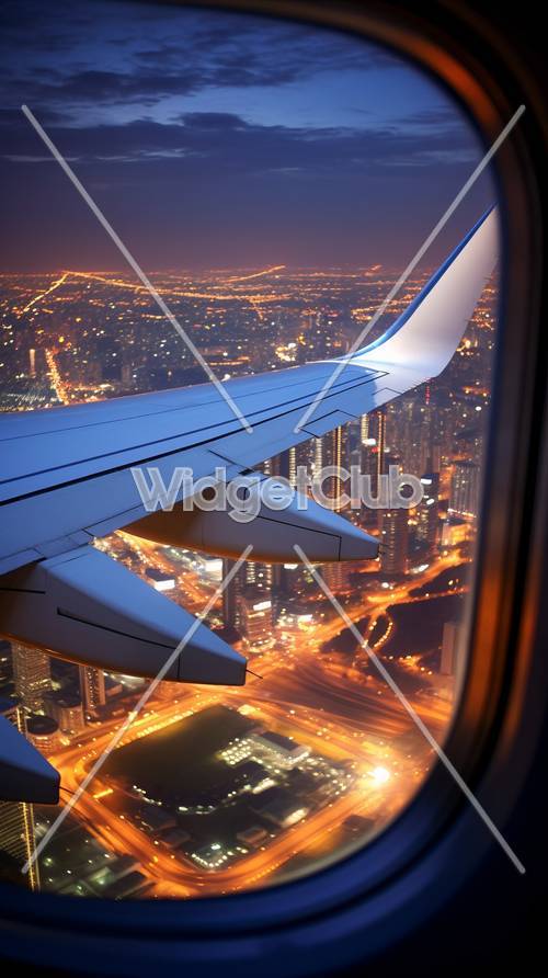 夜の上空から見た都市の光景
