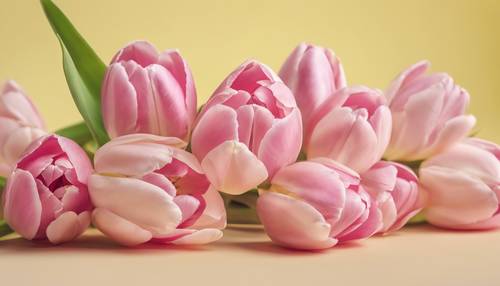 Una composizione a forma di cuore di tulipani rosa tenui su uno sfondo giallo pastello.