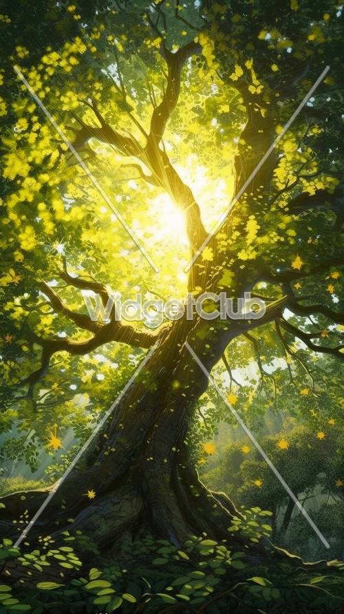 Soleil à travers les arbres - Lumière magique de la forêt