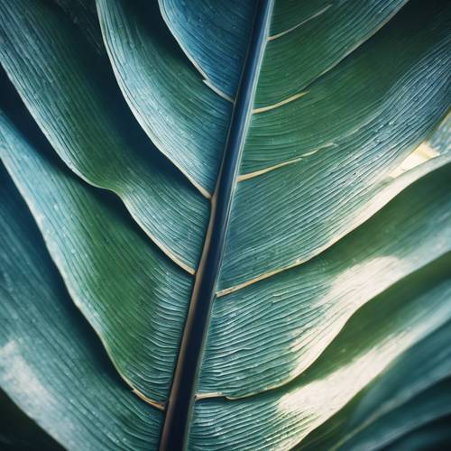 Artystyczne przedstawienie niebieskiego liścia bananowca, na którym światło słoneczne tworzy wspaniałe wzory.