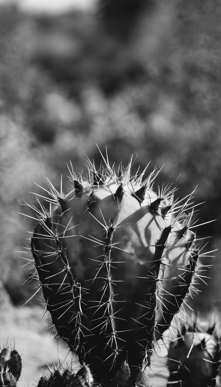 A high-contrast, black and white nature study of a prickly pear cactus. Kertas dinding[2307a75871d845cb9ddd]