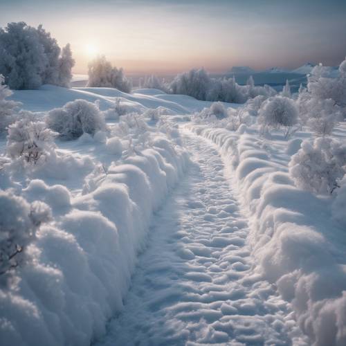 Un paesaggio innevato caratterizzato da un sentiero che attraversa strutture geometriche di ghiaccio bianco, scintillanti sotto la luce della luna.