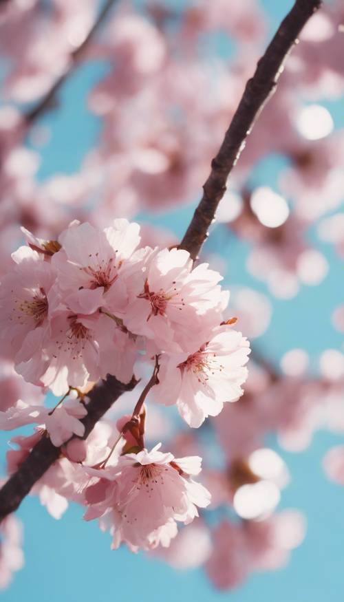 Pohon sakura merah muda yang mekar penuh dengan latar langit biru pastel, mencerminkan estetika kawaii.
