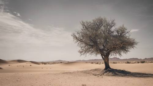 Uma árvore solitária no meio do deserto, o forte contraste da cena ecoando a frase &quot;As dificuldades muitas vezes preparam pessoas comuns para um destino extraordinário&quot;.