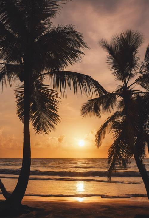 A stunning vista of a tropical sunset with the sun dipping just below the horizon. Tapeta [b8d9321d225a4cc4bb6b]