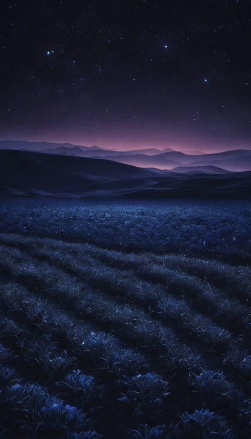 深靛藍夜空下，廣闊的黑色田野。