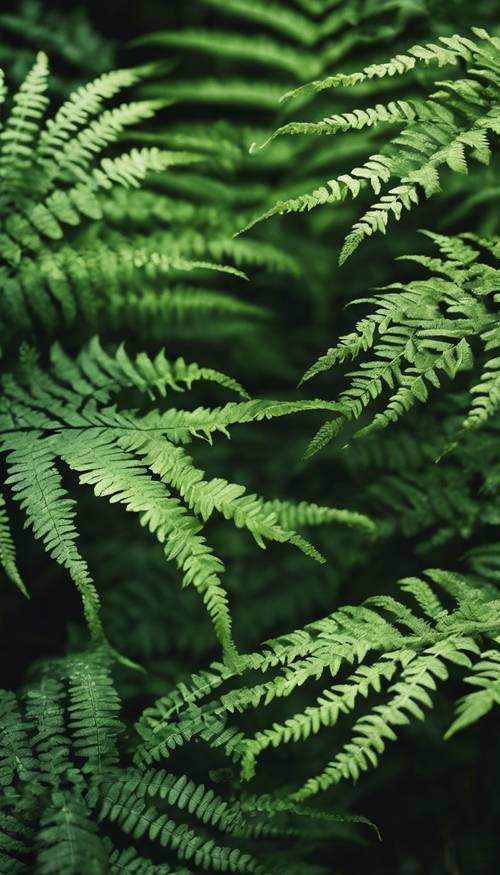 Alternating stripes of light and dark green ferns for a natural woodland effect.