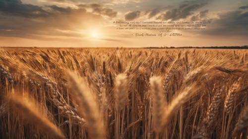 Une scène calme d&#39;un champ de blé sous un coucher de soleil doré, avec la citation « Un esprit paisible crée une vie paisible » tissée dans le blé.