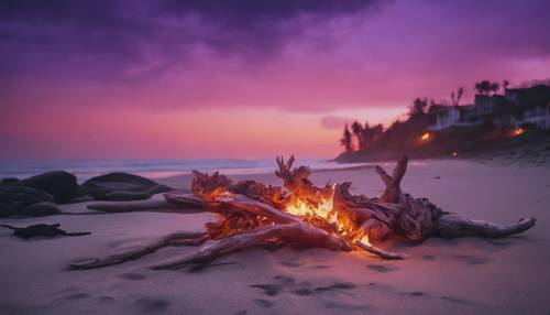 宁静的海岸景色，浮木在紫色的火焰中燃烧。