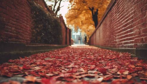 Longue allée bordée de murs en briques rouges d&#39;époque, avec des feuilles d&#39;automne tombées éparpillées.