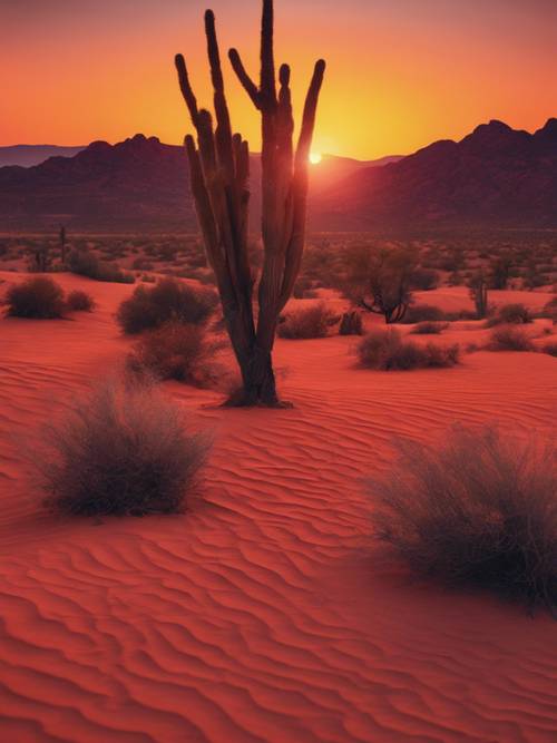 Un coucher de soleil rouge et orange ardent soulignant la grandeur d&#39;un paysage désertique.