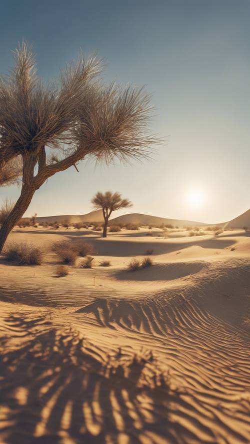 Królewskoniebieska, sucha pustynna równina pod palącym słońcem.