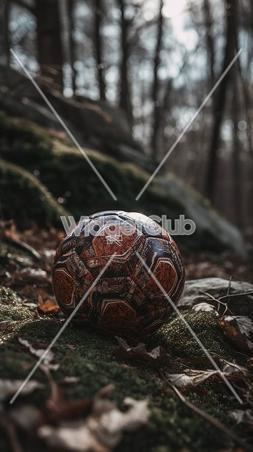 Bola de futebol iluminada pelo sol na floresta