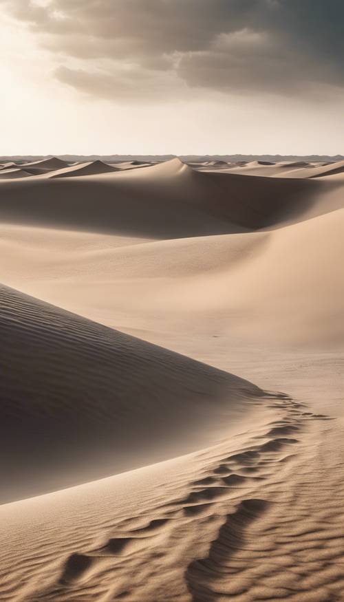 Szara pustynna równina z zakurzoną, piaszczystą trąbą powietrzną formującą się na horyzoncie.
