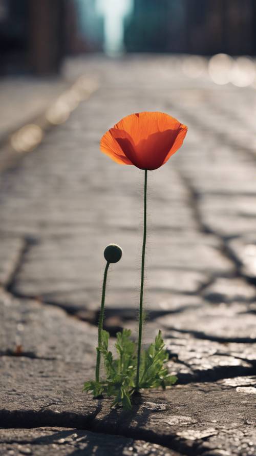 A single poppy growing in a crack in the pavement in a bustling cityscape.