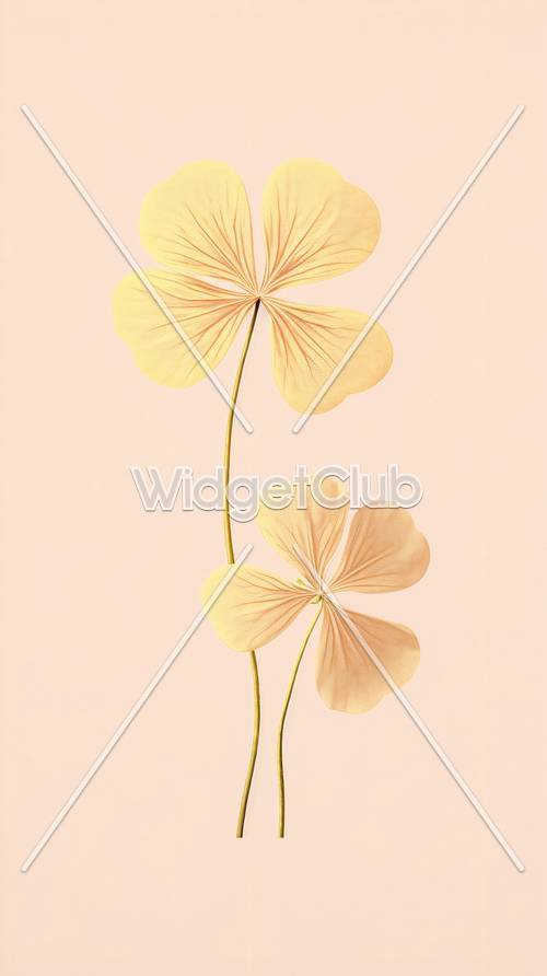 典雅的粉红色和黄色的花朵插画