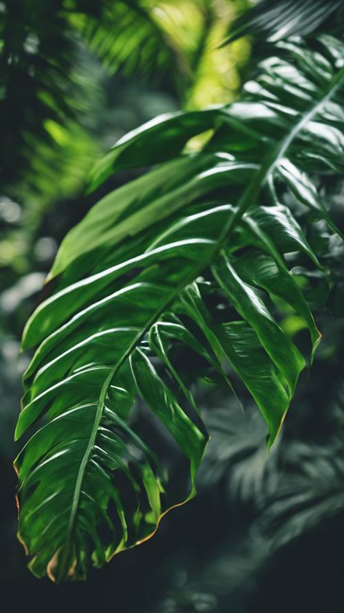 A vibrant tropical leaf in the midst of a rainforest, teeming with life. Tapeta [733e71ee1bed41d2b67b]