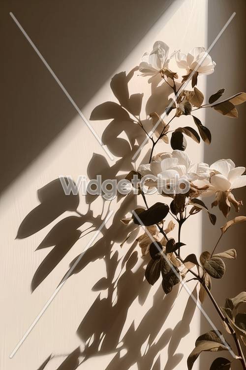 Sombras florales iluminadas por el sol