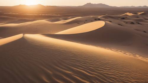 The colossal sand dunes of the desert at dawn, with a touch of golden morning light.