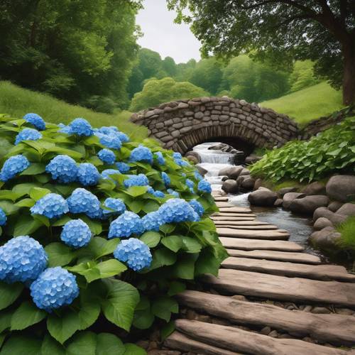 An idyllic landscape featuring a babbling brook, stone footbridge, and lush blue hydrangeas.