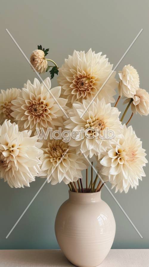 Beaux dahlias beiges dans un vase