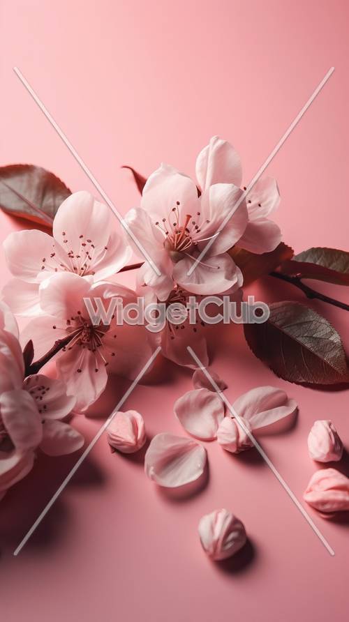 Pink Cherry Blossom Wallpaper [fd4d61cda11e4bfc8a96]