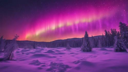 鲜艳的紫色天空因北极光而绚烂。