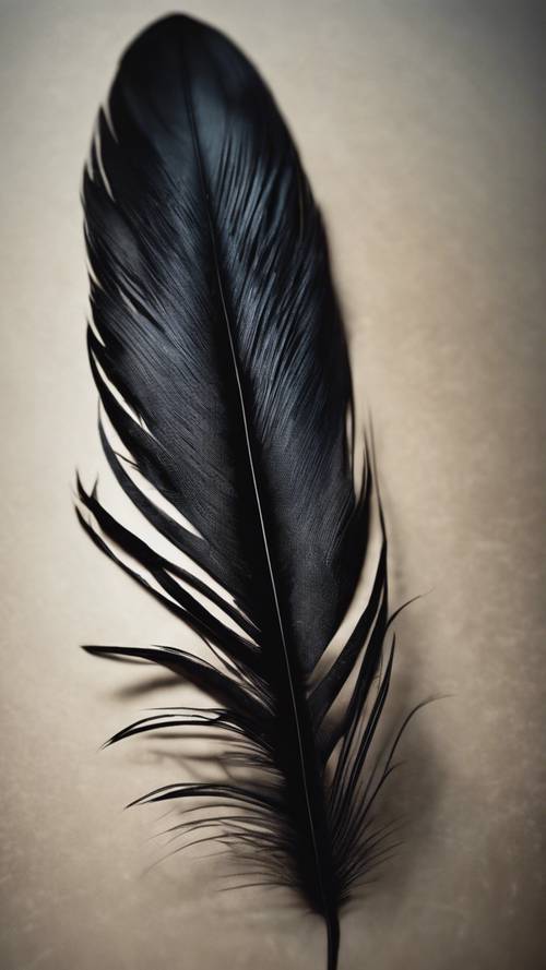 A dark black feather, its textures and details under soft lighting. Taustakuva [40176aea5a56403a96d7]