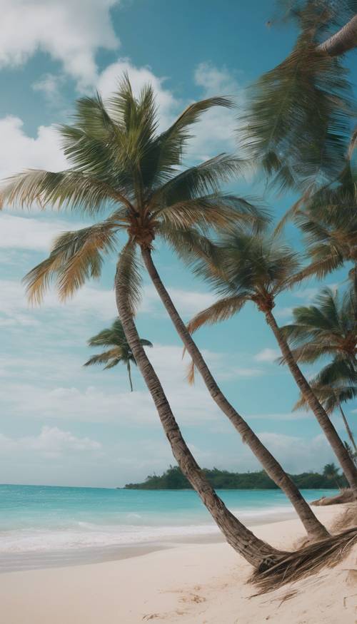 Pemandangan pantai tropis yang semarak dengan air biru jernih dan pohon palem bergoyang tertiup angin sepoi-sepoi.