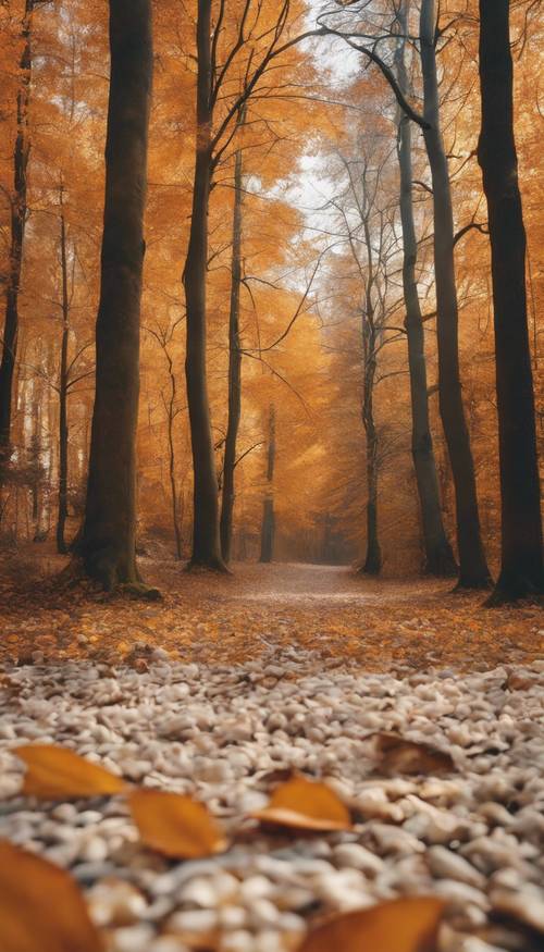 Autumn paints a picturesque scene in a forest. Golden and orange leaves carpet the forest floor, while tall, bare trees stand quietly
