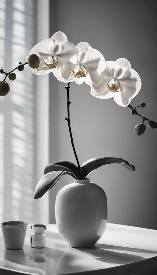 Grinin daha fazla tonunun, net çizgilerin ve masanın üzerinde tek bir beyaz orkidenin olduğu minimalist bir oda.