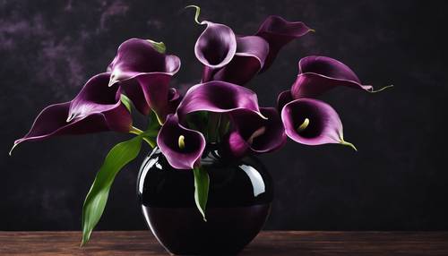 Eine Vase mit dunkelvioletten Calla-Lilien vor einem schwarzen Samthintergrund.
