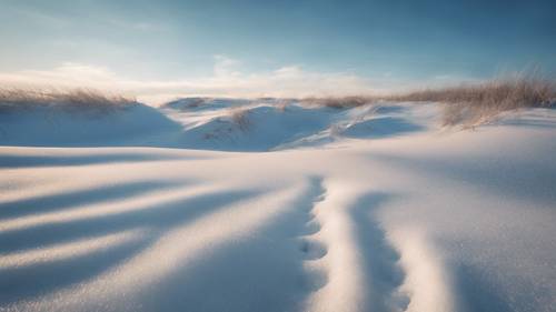 Dunas de nieve barridas por el viento bajo el gélido cielo azul invernal, que reflejan la belleza de los duros inviernos.