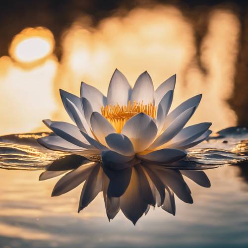 Una flor de loto dorada flotando majestuosamente en un estanque tranquilo al atardecer.