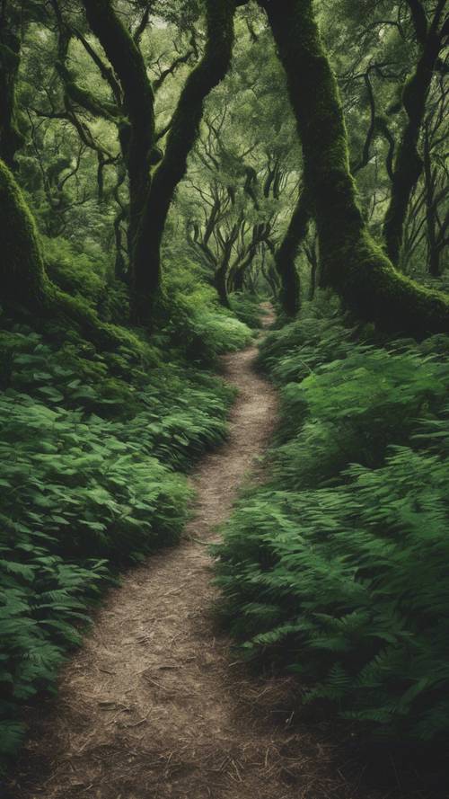 Sentiero nel bosco verde scuro che si snoda attraverso un rigoglioso sottobosco.
