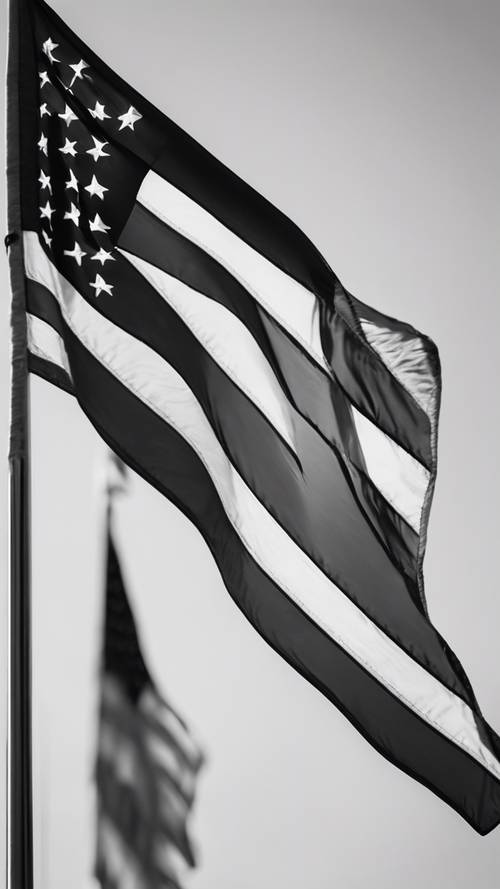 Graficzne przedstawienie flagi amerykańskiej w kolorach czarno-białych.