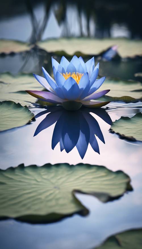 Un etereo loto blu, che galleggia serenamente su un laghetto tranquillo, il suo riflesso luccica sulla superficie dell&#39;acqua.