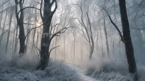Ein dichter, von frostigem Nebel bedeckter Wald, an dessen Zweigen Eiszapfen hängen.