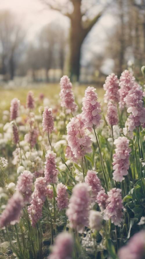 丹麥風景中，柔和的水彩色調中，新鮮的春天花朵聚集在一起。