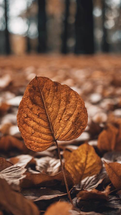 Pośród opadłych jesiennych liści pojedyncza, zwiędła hortensja walczy o zachowanie koloru.