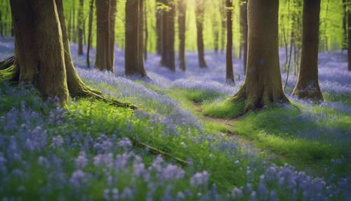 Hutan yang hidup dengan pepohonan yang daunnya baru tumbuh dan diselimuti bunga bluebell di bawah cahaya pagi musim semi yang segar.